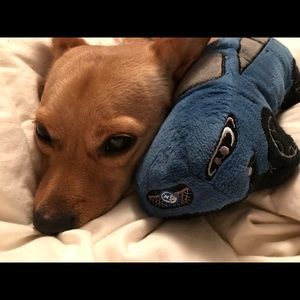 Meet your Posher, Tracy